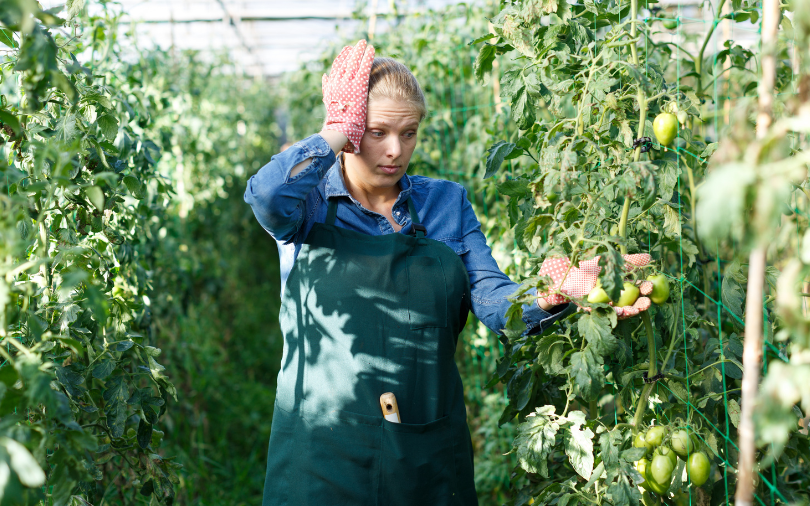 New to Gardening? Top 5 Things for New Gardeners to Know.