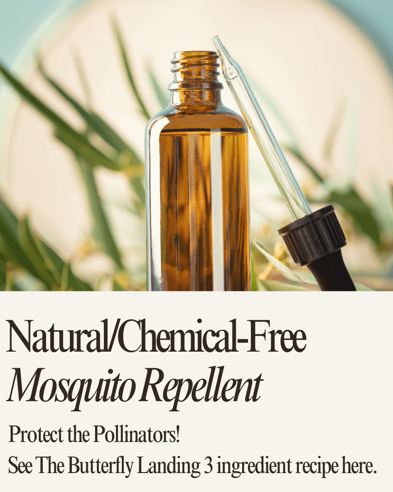 Natural chemical-free mosquito repellent.