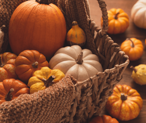 Basket of pumpkins