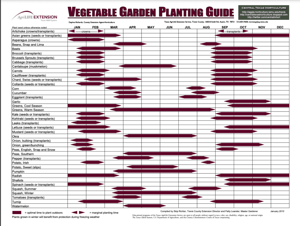 Planning calendar for veggies in San Antonio