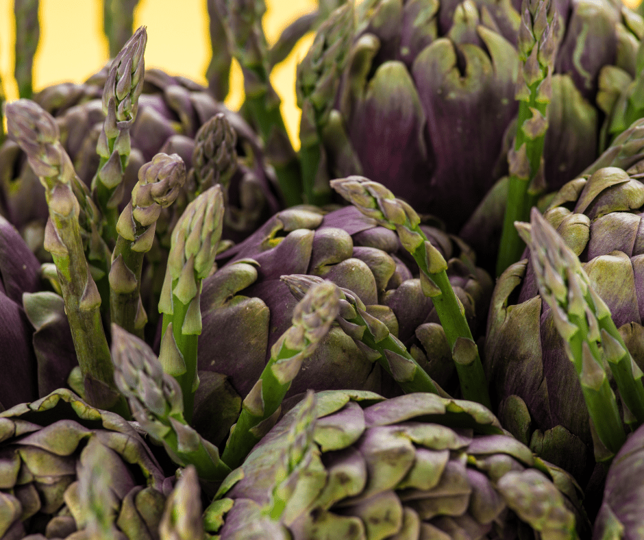 Scale (11) Asparagus and Artichokes are Good Veggies to Plant in Winter.