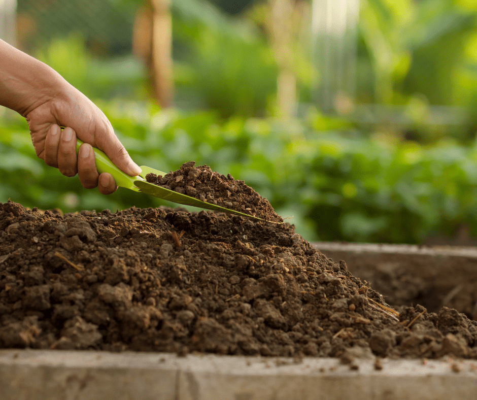 winter-soil-building Winter is a good time to build soil in garden beds.