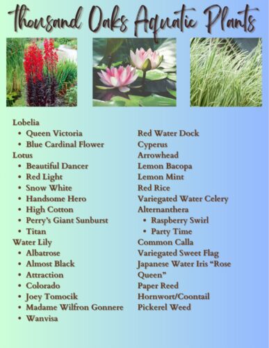 Copy of Featured Plants collage (8)