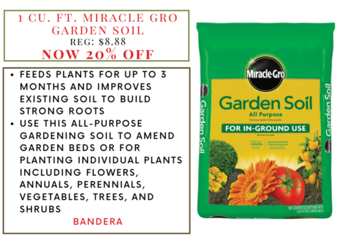 Lions Tail - 2025-06-19T125926.002 Pro Mix Potting Soil