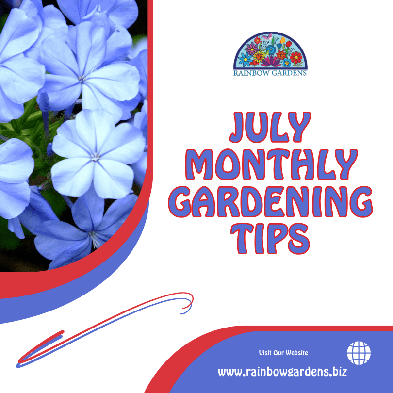 Rainbow Gardens Aurora Mo: Explore Nature's Vibrant Oasis 3 Rainbow Gardens Aurora Mo: Explore Nature's Vibrant Oasis