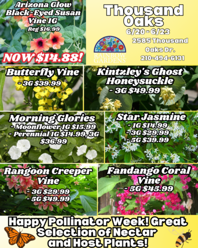 Seed potatoes in stock!.PNG (4) Thousand-Oaks-Graphic