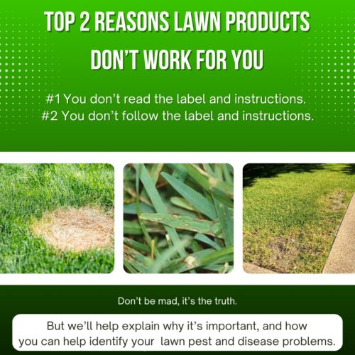 lawn-pests-and-diseases Pests and Diseases Graphic