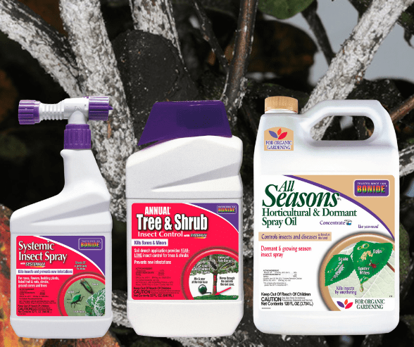 Crape-myrtle-bark-scale-treatment Bonide products for crape myrtle bark scale treatment.