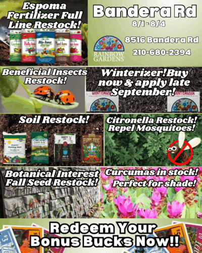 Seed potatoes in stock!.PNG (14) Bandera weekly highlights.