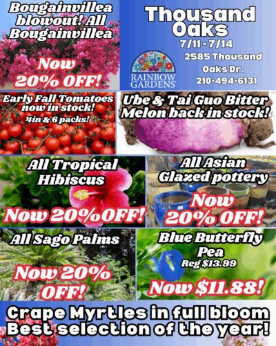 Seed potatoes in stock!.png.PNG (9) Thousand-Oaks-Graphic