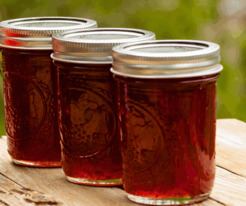 benefits-of-beautyberry Jam made from beautyberry.