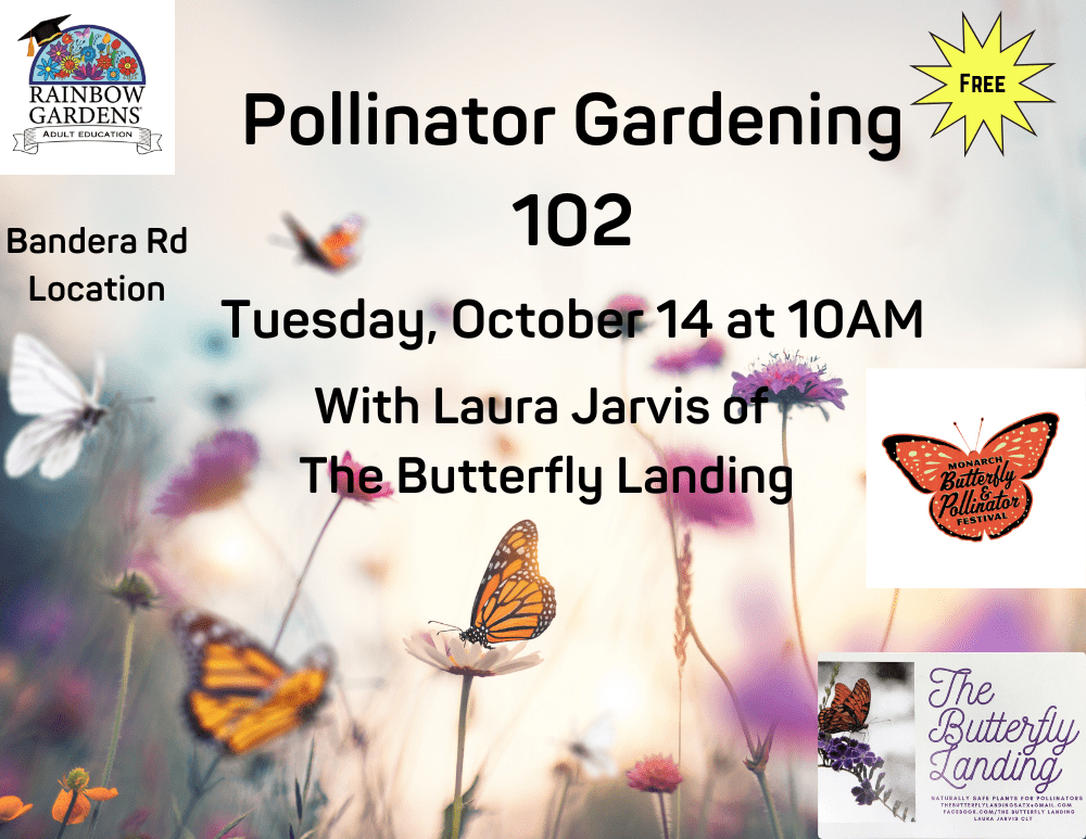 Pollinator-Gardening-102 (7)