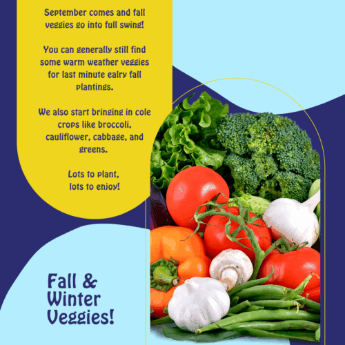 Vegetables (8)