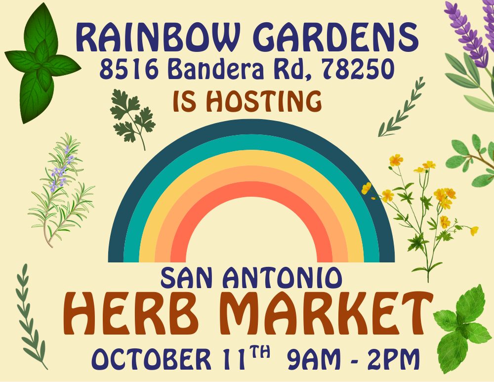 Herb market (1)