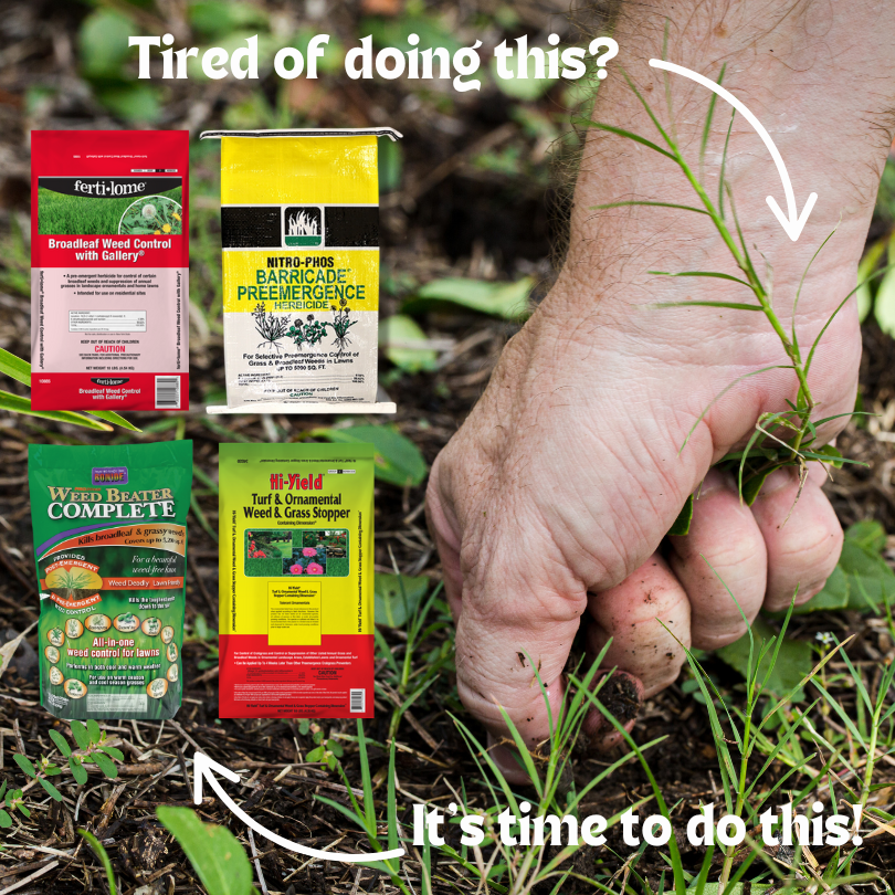 Vote Below! (1) WeedBeater is a good weed pre emergent for fall and spring.