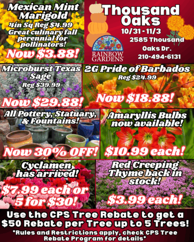 Thousand-Oaks-Graphic