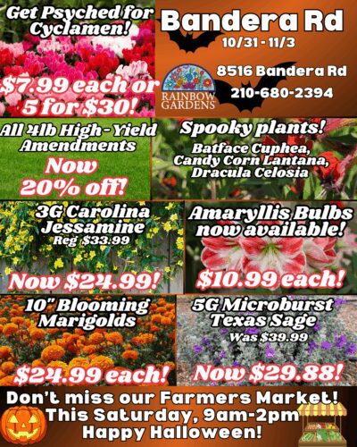 Bandera weekly highlights.